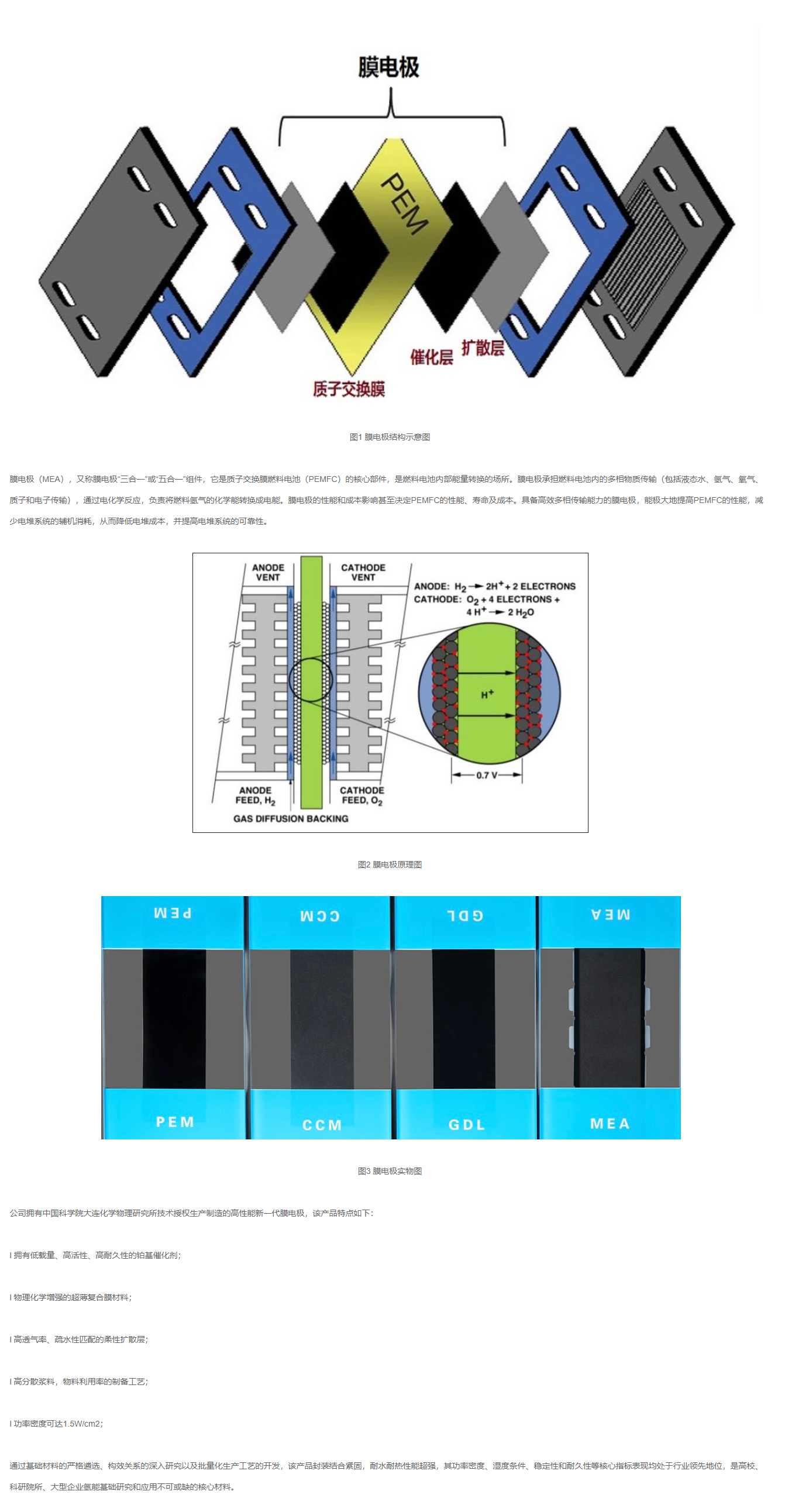 中能大友DAYO膜電極（MEA）測(cè)試配件.png